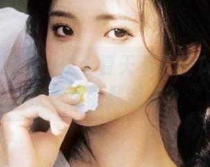 这个夏天不下载17吃瓜群众怎么能熬过去？