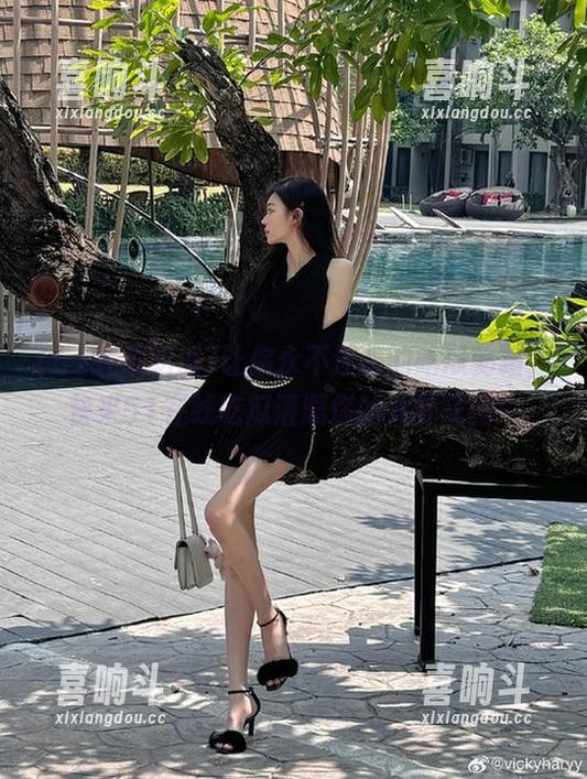 让你永不迷路的吃瓜秘籍，快来51在线吃瓜灌溉你的八卦花园！