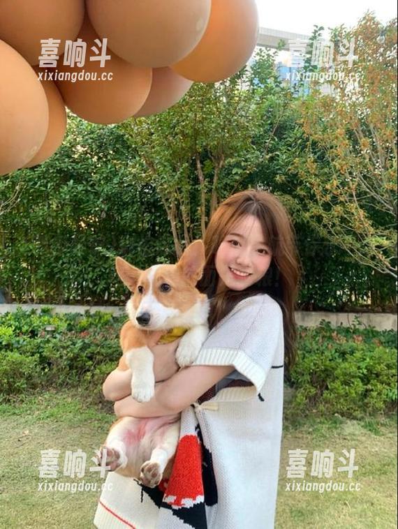 吃瓜导航 别怕迷路!吃瓜导航带你永不迷路,哪怕前面是狗粮!
