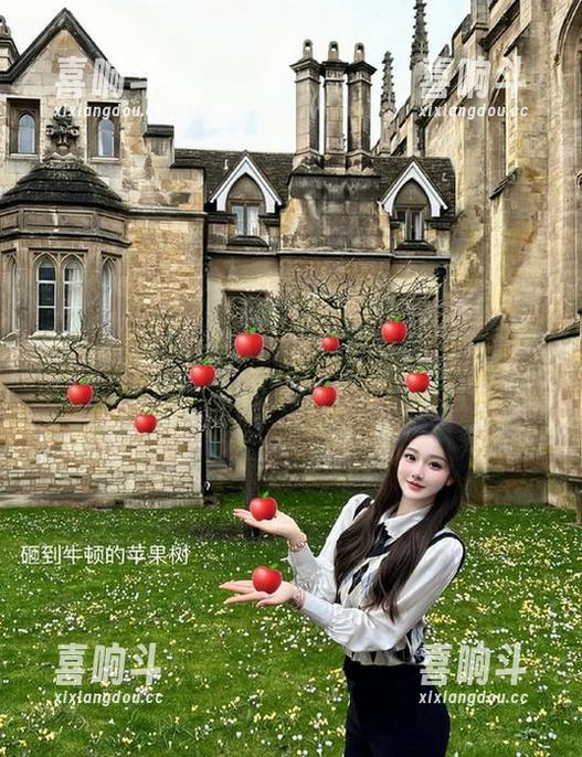 吃瓜群众网cgfun：当吃瓜与迷路相遇，地址要不要公开哦？