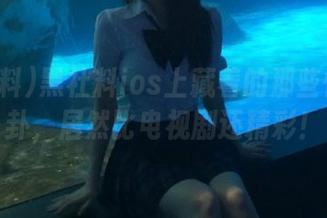 黑社料ios上藏着的那些惊人八卦，居然比电视剧还精彩！